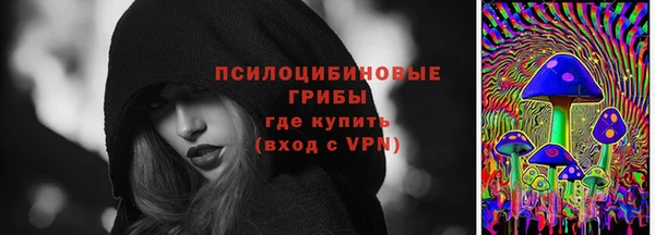 метадон Лабытнанги