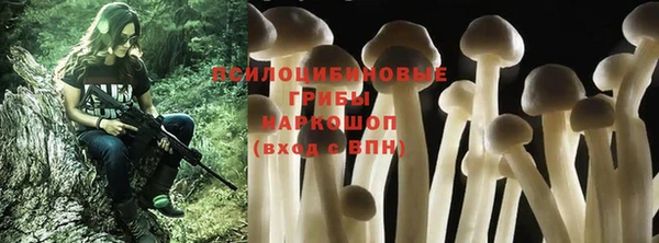 таблы Ладушкин